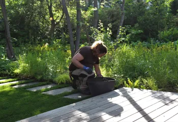 entretien écologique de jardin