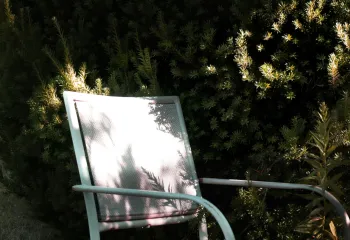 Podcast : Jardin à l'ombre, une opportunité ?