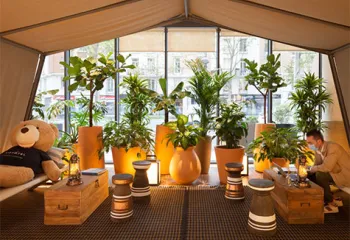 végétalisation intérieur hiver