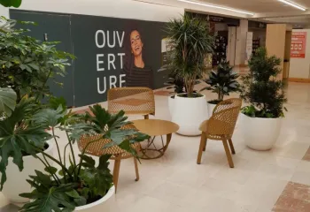 végétalisation intérieure dans un centre commercial