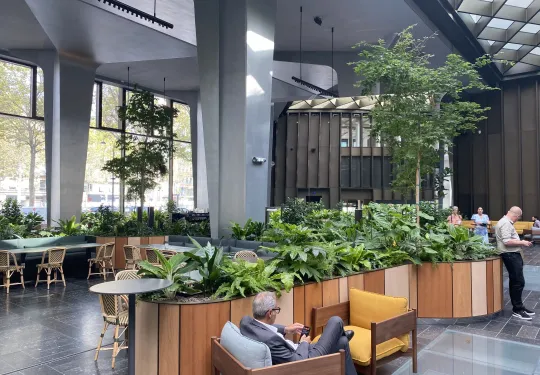 végétalisation siège social