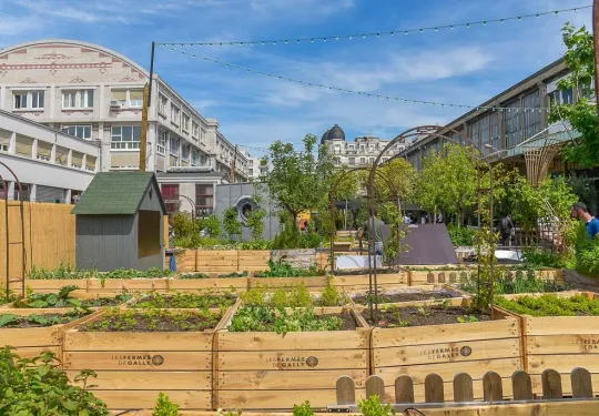 potager entreprise