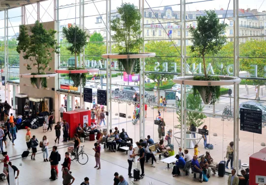 Végétalisation gare Angers