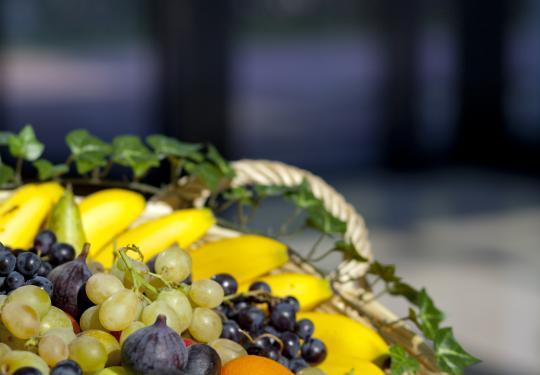 Panier de fruits des Verges de Gally