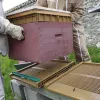 Levage de la ruche
