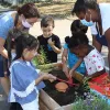 Atelier jardinage apprentissage école pantin