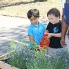 Enfants arrosage école plante pantin potager
