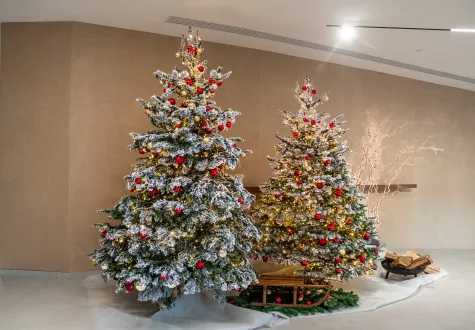 Décorations de Noël pour entreprises : réservez dès maintenant