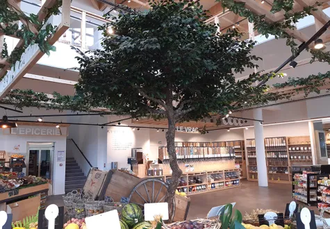 Installation d'arbres de la Collection Sylver