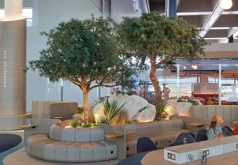 Sylver arbre reconstitué d'intérieur
