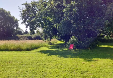 Fauche tardive des prairies : un geste simple pour plus de biodiversité