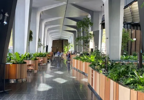 Végétalisation  du nouveau siège de Boston Consulting Group par les Jardins de Gally