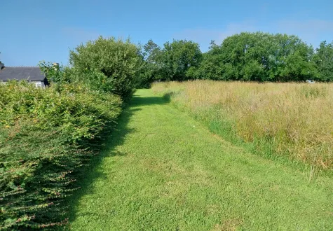 Fauche tardive des prairies : un geste simple pour plus de biodiversité