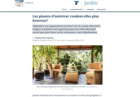 Article sur les plantes d'intérieur