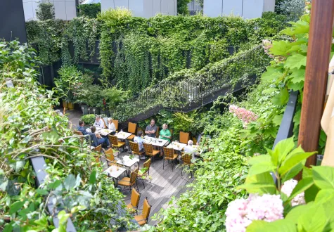 Focus Projet : le rooftop de l'Hôtel Madame Rêve