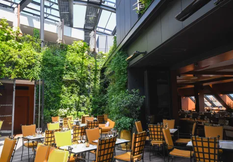 Focus Projet : le rooftop de l'Hôtel Madame Rêve