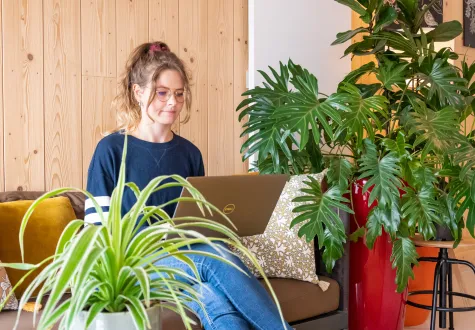 Et si le végétal devenait votre allié contre le stress acoustique ? 