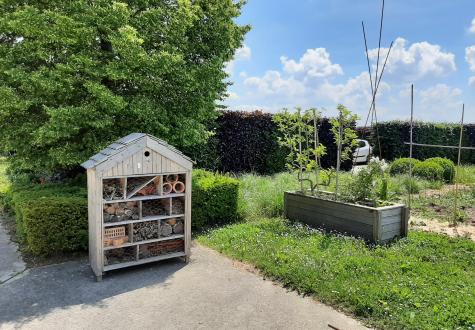 Potager d'entreprise