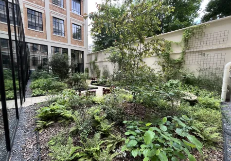 Focus projet : végétaliser l'immeuble de bureaux de Nuveen