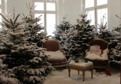 le sapin parfumé