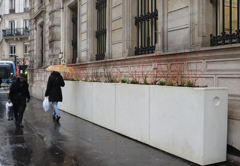installation du premier Bocage urbain, devant la Mairie du 4ème arrondissement de Paris