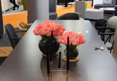 Location de plantes
