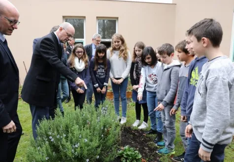 un potager dans chaque école
