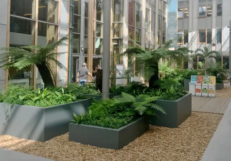 jardin d'intérieur espace public