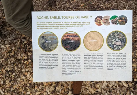 Focus projet : la Maison du Lac à Nantes