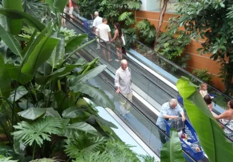 paysage intérieur centre commercial