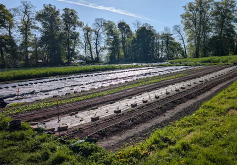 Focus projet : ferme maraîchère municipale de Canteleu (76)