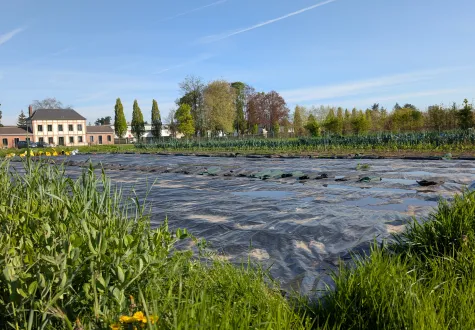 Focus projet : ferme maraîchère municipale de Canteleu (76)