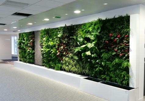 Découvrez les murs végétalisés : installation, plantes