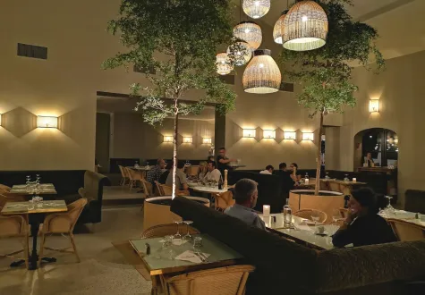 végétalisation d'un restaurant avec des plantes d'intérieur
