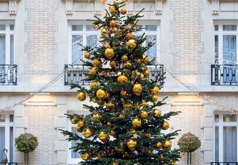 Grand sapin de Noël