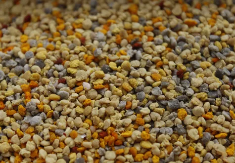 Boules de pollen