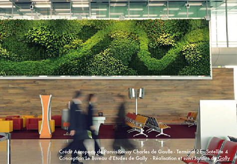 Mur végétal Aéroport Agence Ile de France Est
