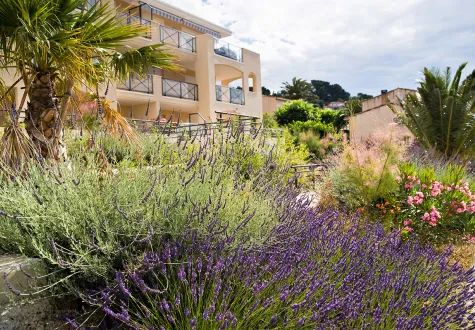 aménagement paysager de type provençal