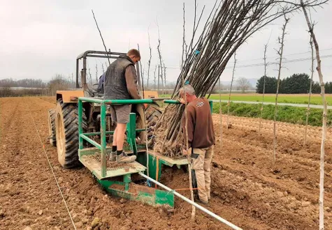 pépiniéristes dans la vallée du rhône