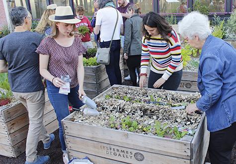 atelier jardin vivant