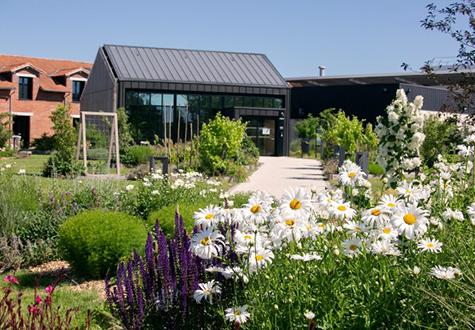 Aménagement d'espace extérieur jardin de biodiversité