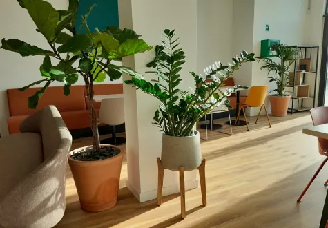 Bac de plantes en location dans un espace public