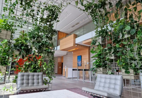 Installation de bacs de plantes vertes en entreprise