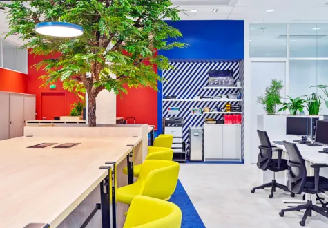 végétalisation de bureaux
