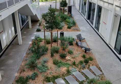 Focus projet : réhabilitation du patio BNP Paribas Real Estate à Nice