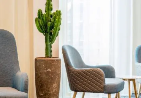 plante intérieur hotel biophilie