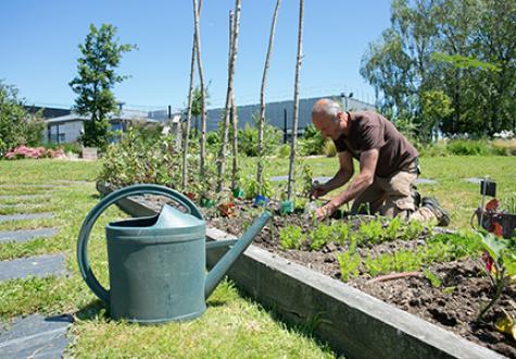 potager en entreprise