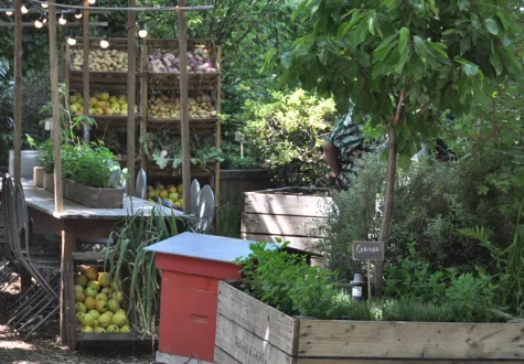 événement végétal durable