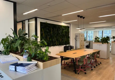 Santé mentale au travail : les bienfaits des plantes dans les espaces de bureau