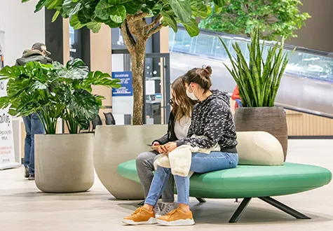 shopping plantes nature centre commercial